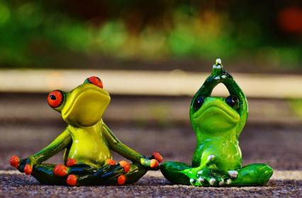 two frogs yoga poses