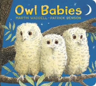 Owl Babies picture book cover