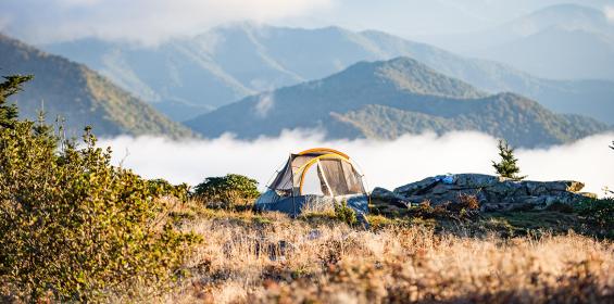 Camping