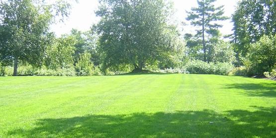 Lawn Care