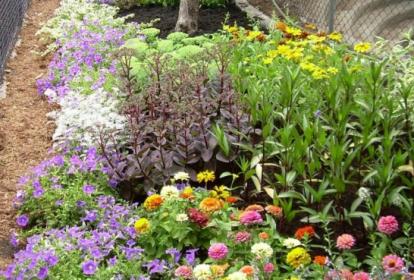 Garden Design