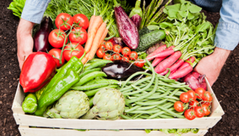 Organic Gardening